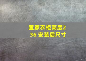 宜家衣柜高度236 安装后尺寸